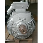 Электродвигатель  ARRK 354/8 132kWt
