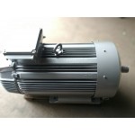 Электродвигатель  ARRK 354/8 132kWt