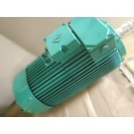 Электродвигатель SMH-180 L6 Электродвигатель SMH-180 L6