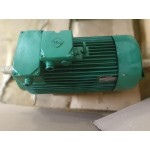 Электродвигатель SMH-180 L6 Электродвигатель SMH-180 L6