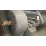 Электродвигатель SH 250 2/6, 32кВт, 980 об/мин.