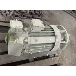 Ганц 5 тон
