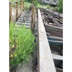 Ганц 5 тон
